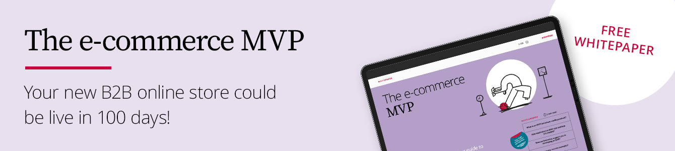 e-commerce MVP whitepaper